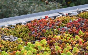 the cost of Gallowstree Common green roof installation