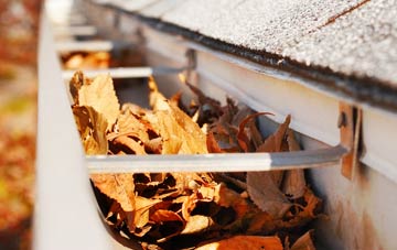 Gallowstree Common gutter cleaning companies
