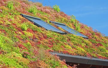 Gallowstree Common living roof systems