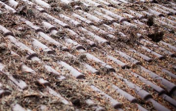 Gallowstree Common roof cleaning companies