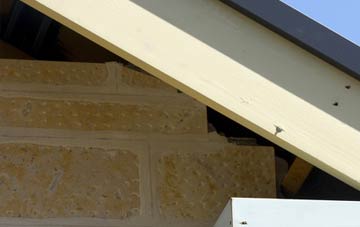 soffit repair Gallowstree Common