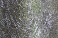 Gallowstree Common fibreglass roof work