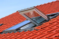 Gallowstree Common roof window